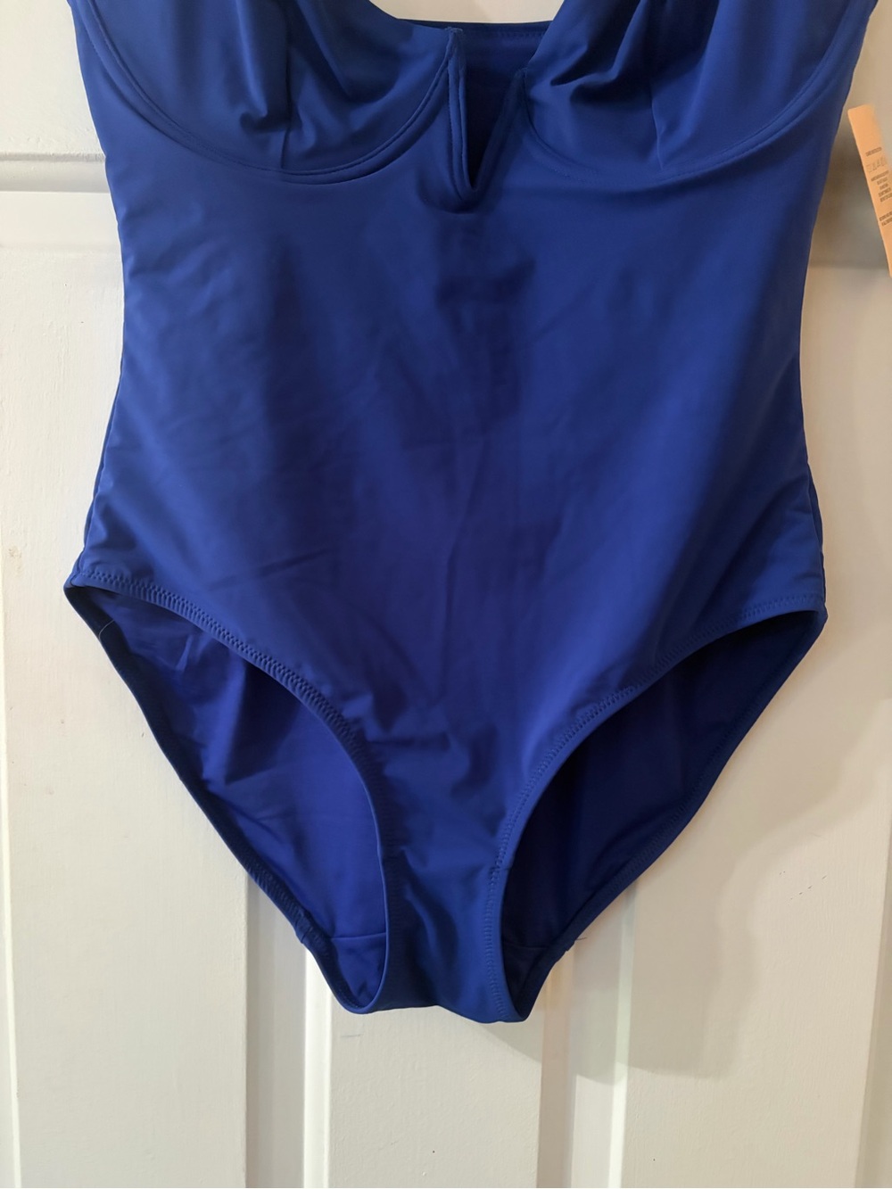Women’s Plunge V-Front Bodysuit in Royal Blue - Picture 7 of 16